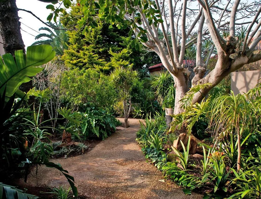 Singa Lodge - Lion Roars Hotels & Lodges Port Elizabeth